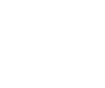 Speed & SEO Optimization